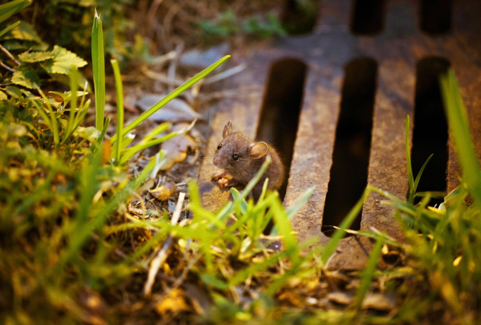 Alcobendas: una ciudad moderna con un subsuelo que exige control