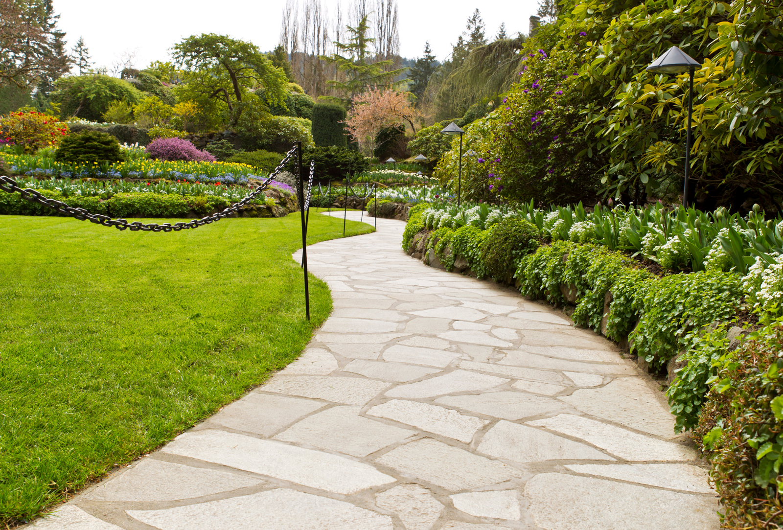 Cómo prevenir plagas tras la lluvia en Alcobendas: guía para comunidades y empresas